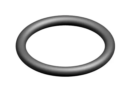 Schwarzer O-Ring mit kreisförmigem Querschnitt auf hellem Hintergrund. Produkt stammt von Bosch und ist für Dichtungsanwendungen geeignet.